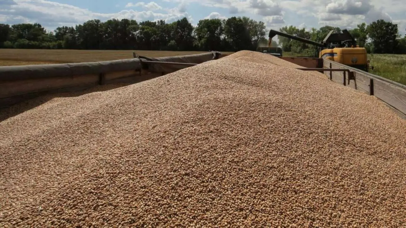 Η Ουκρανία λέει ότι στέλνει σιτηρά μέσω λιμανιών της Κροατίας