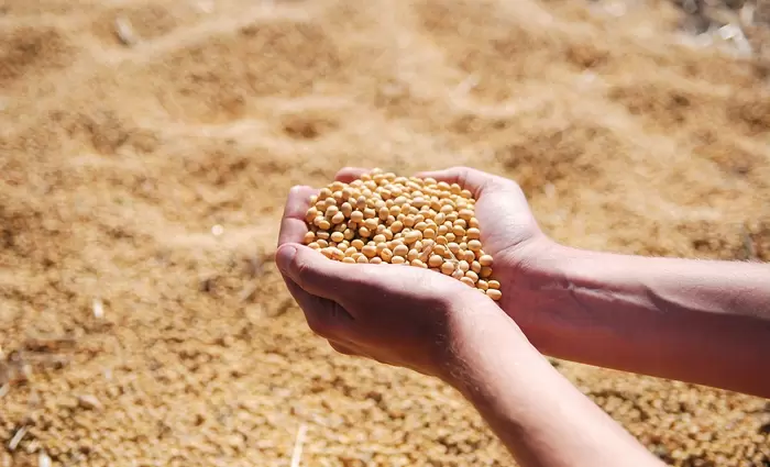 Η Ρωσία συνομιλεί με χώρες με ανάγκη για σιτηρά