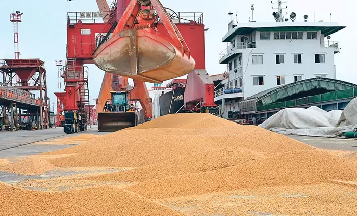 Κίνα: Καλύπτει τη δέσμευση προς τις ΗΠΑ με 12 εκατ. τόνους σόγιας