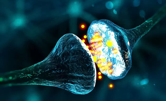 Δημιουργήθηκαν οι πρώτοι τεχνητοί νευρώνες στον κόσμο