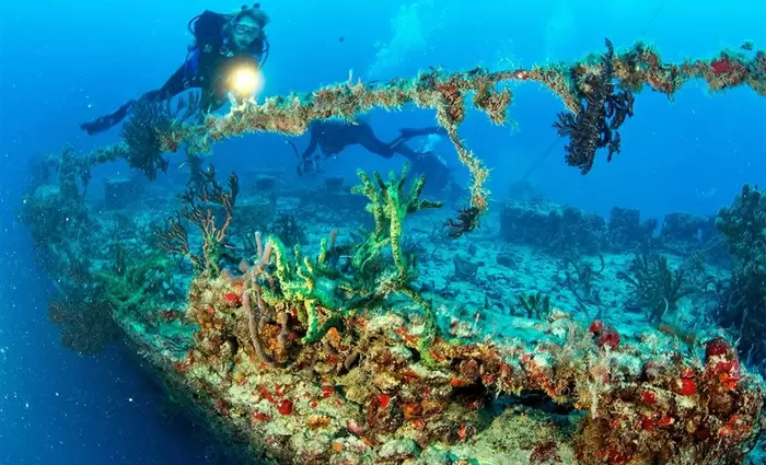 Λάρνακα: Βύθιση πλοίων για την δημιουργία τεχνητών υφάλων