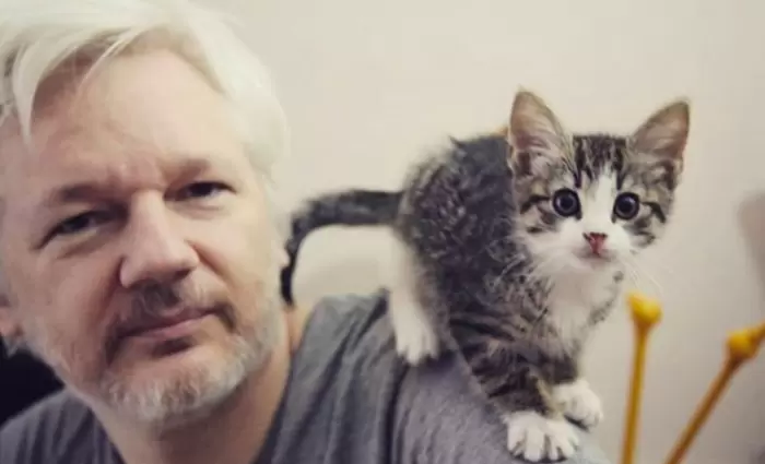 WikiLeaks: Ο γάτος του Ασάνζ είναι ασφαλής
