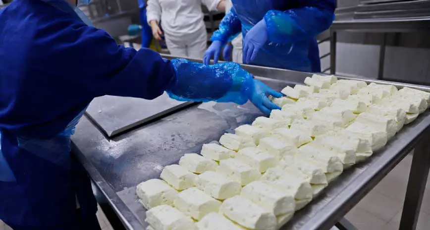 Κλείνουν επ' αόριστον τα τυροκομεία - Στον αέρα χιλιάδες θέσεις εργασίας