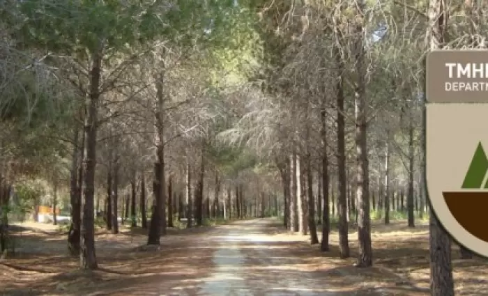 Θέση εργασίας στο Τμήμα Δασών με μισθό €76.741