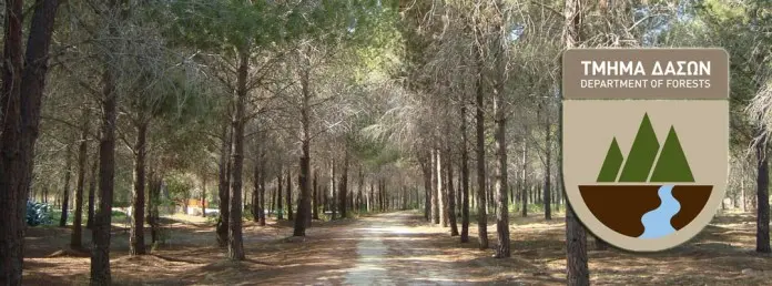 Θέση εργασίας στο Τμήμα Δασών με μισθό €76.741