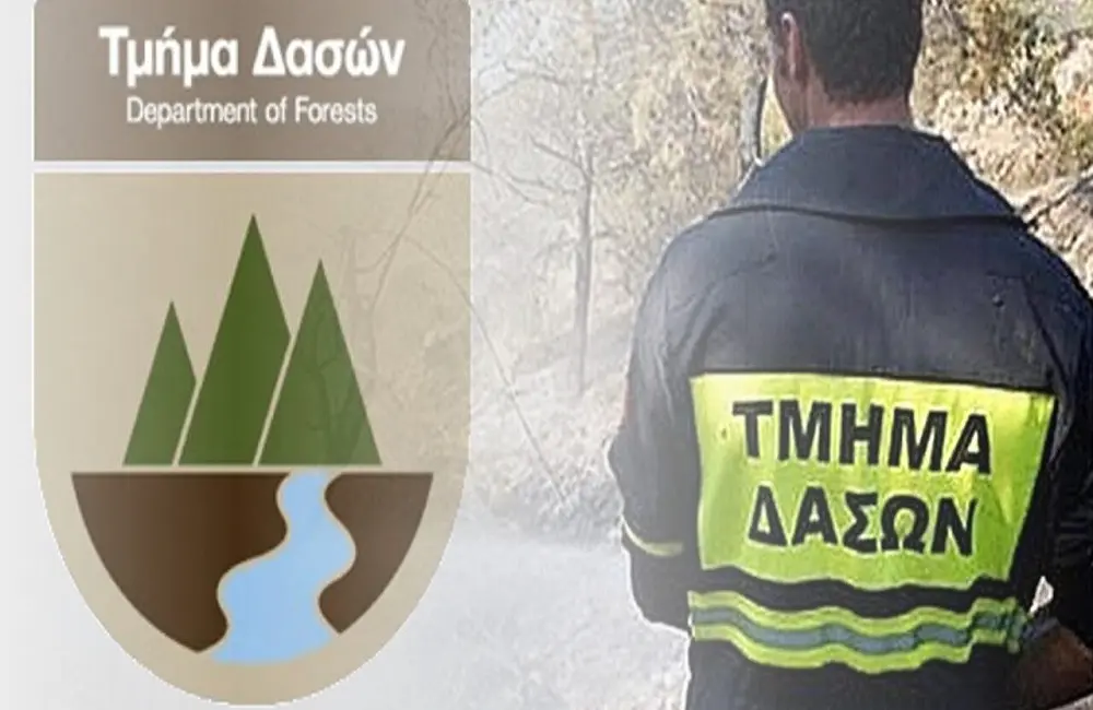 Θέση εργασίας στο Τμήμα Δασών – Όλες οι πληροφορίες