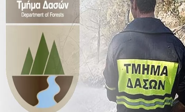 Θέση εργασίας στο Τμήμα Δασών – Όλες οι πληροφορίες