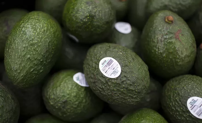 Γιατί το αβοκάντο κερδίζει έδαφος