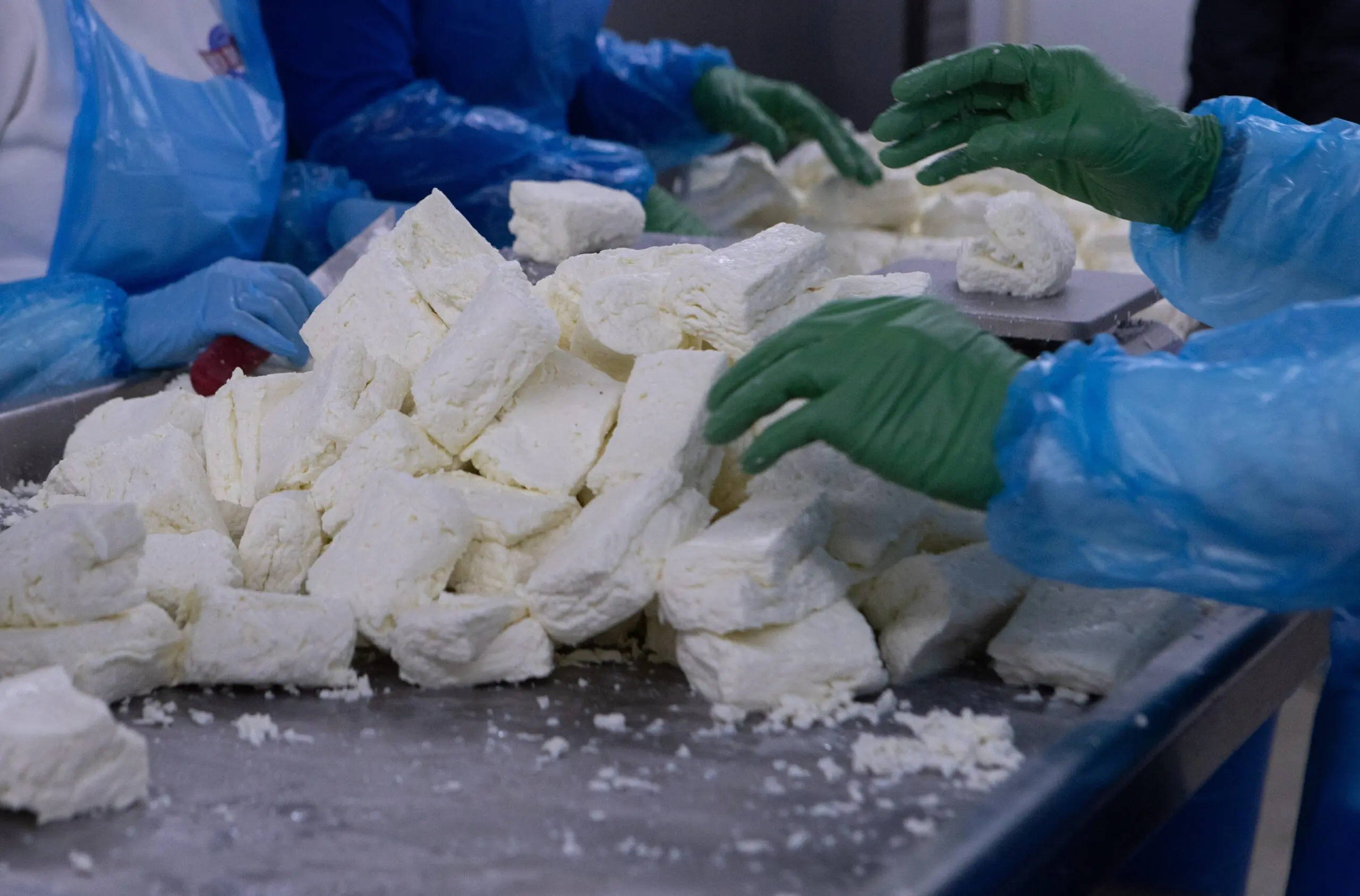 Καμπανάκι και από τυροκόμους: Ζητούν υπευθυνότητα, συντονισμό και άμεση δράση για αφθώδη πυρετό