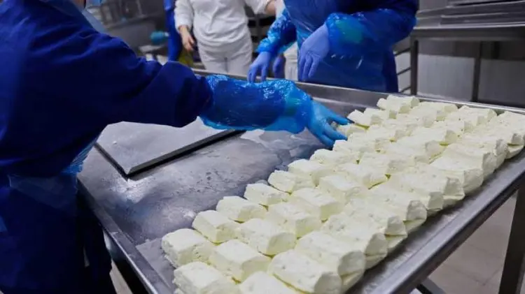 Σε αναμονή της συνάντησης ΠτΔ με τυροκόμους οι φορείς προϊόντων γάλακτος