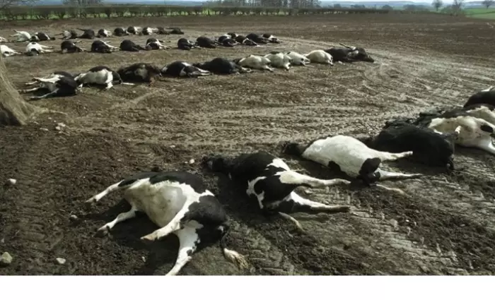 Παναγροτικός Σύνδεσμος: «Κλειδί» η πρόληψη για αποφυγή αφθώδη πυρετού