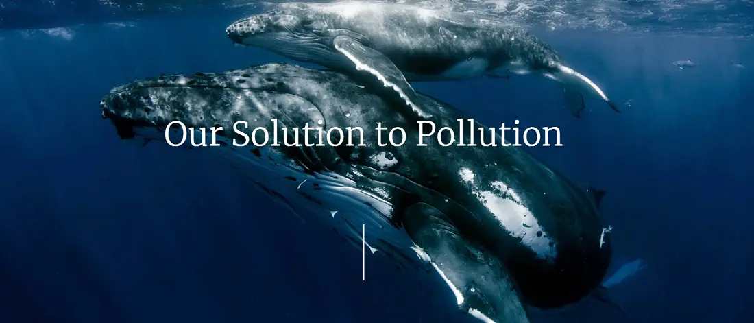 Εταιρική Κοινωνική Ευθύνη: BSM