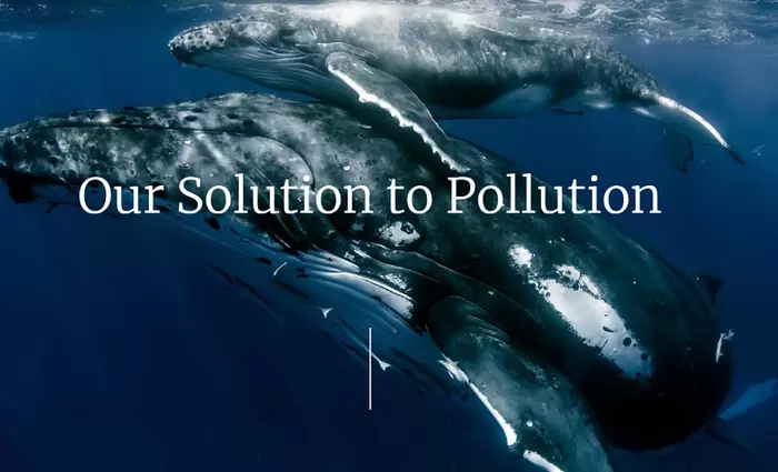 Εταιρική Κοινωνική Ευθύνη: BSM