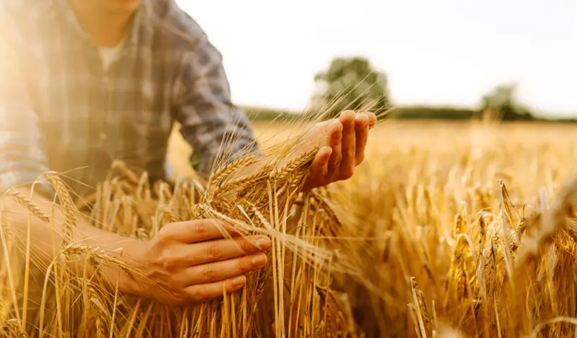 Πώς θα ανοίξει ο δρόμος για την επόμενη γενιά αγροτών της Ευρώπης