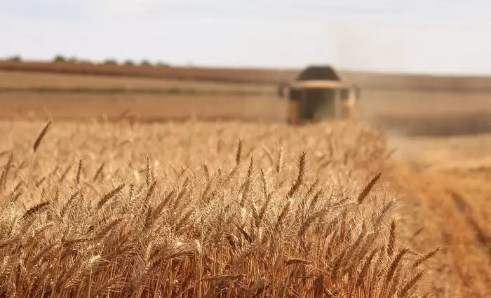 ΕΕ: Αυξάνονται οι δασμοί για ρωσικά και λευκορωρικά σιτηρά