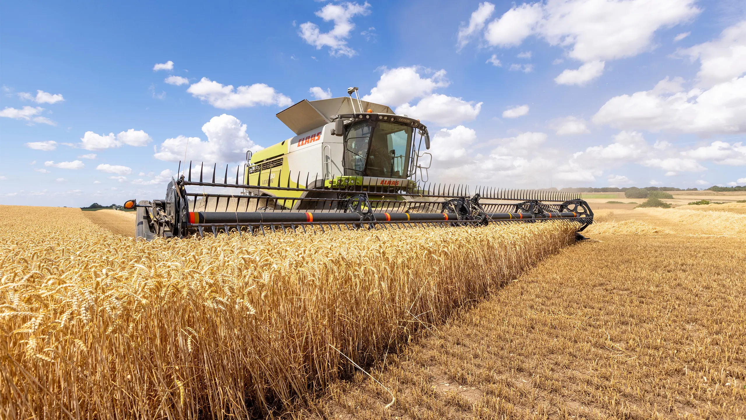 Παγκόσμια ανησυχία για το σιτάρι – Μειωμένες εξαγωγές, αυξημένες τιμές