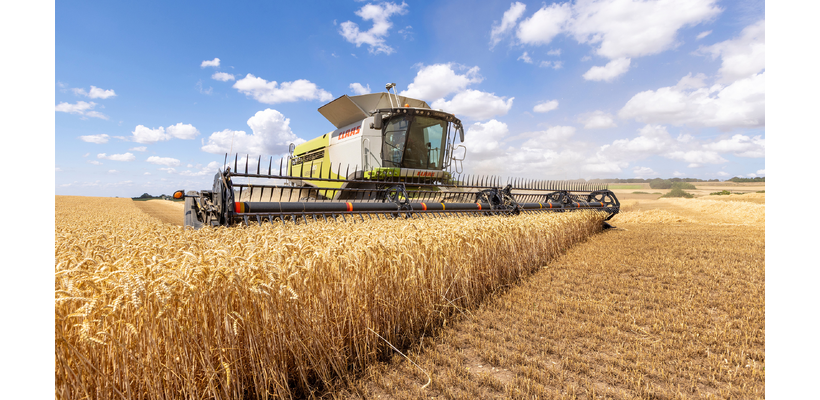 Παγκόσμια ανησυχία για το σιτάρι – Μειωμένες εξαγωγές, αυξημένες τιμές
