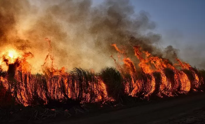 Η τεχνητή νοημοσύνη στη μάχη κατά των δασικών πυρκαγιών