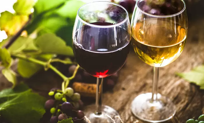 Η κλιματική αλλαγή απειλεί την ύπαρξη του κρασιού