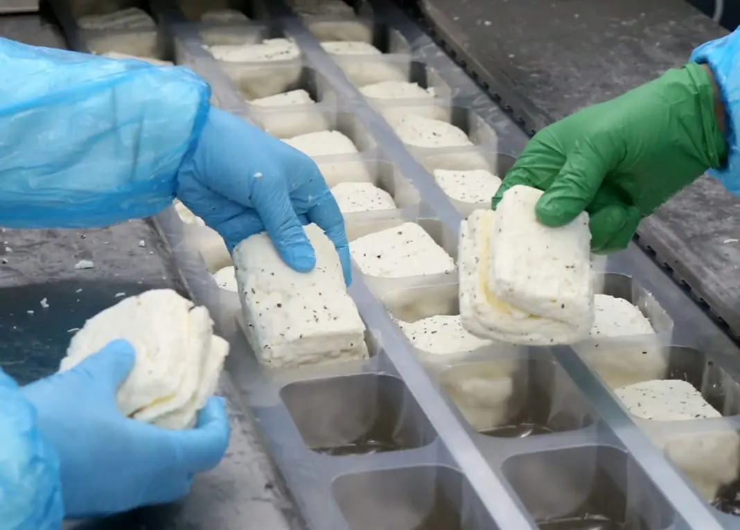 Δικαστήριο ΕΕ: Απέρριψε προσφυγή κυπριακών εταιρειών κατά του ΠΟΠ «χαλλούμι»