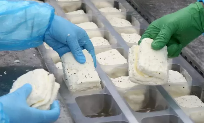 Ξεκινούν σήμερα οι έλεγχοι για το χαλλούμι ΠΟΠ