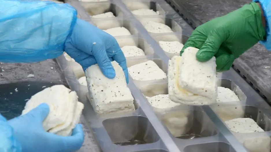 Ξεκινούν σήμερα οι έλεγχοι για το χαλλούμι ΠΟΠ