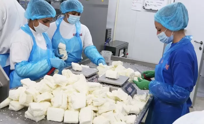 Ορόσημο το 2029 για το γάλα στο χαλλούμι - Τι σκέφτονται στο Υπ. Γεωργίας