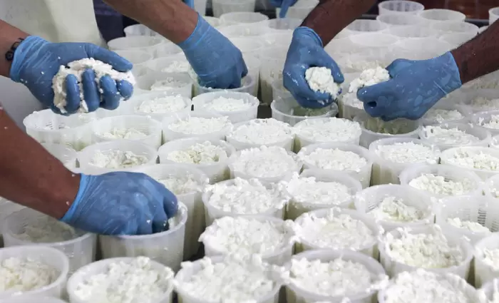 Το χαλούμι κατέλαβε την Βρετανία, την γη του Cheddar και του Stilton