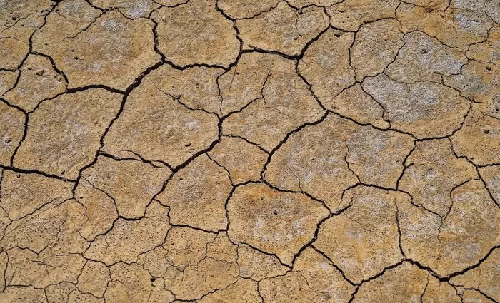 Πώς η ξηρασία στο Μαρόκο θα επηρεάσει παγκοσμίως την αλυσίδα τροφίμων