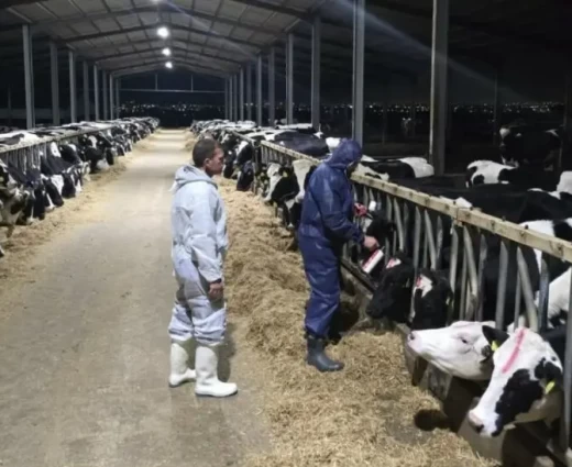 Η κινητοποίηση των κτηνοτρόφων θα εξαρτηθεί από τη συνάντηση με το Υπ. Γεωργίας