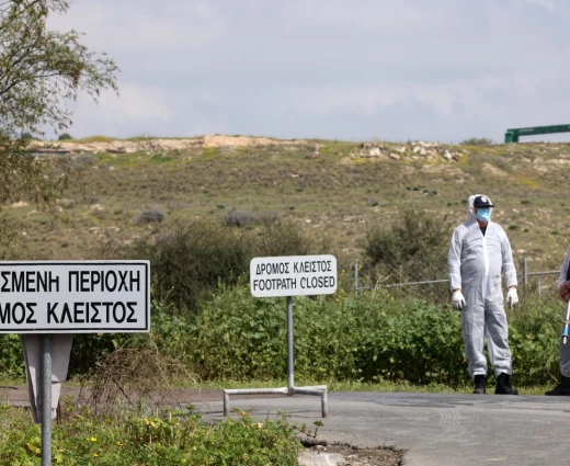 Αφθώδης πυρετός: Η ανασυγκρότηση της κτηνοτροφίας θέλει συνολικό επανασχεδιασμό, λέει ο Μαλάς