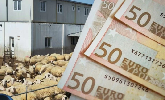 Διευκρινίσεις για τις αποζημιώσεις των κτηνοτρόφων - Πάνω από €35,6 εκατ. για στήριξη και ανασυγκρότηση