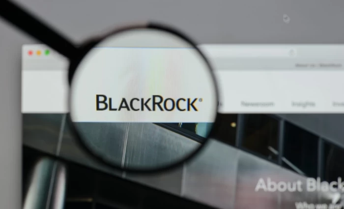 BlackRock: Ισχυρές αποδόσεις για τα ομόλογα των αναδυόμενων το 2026